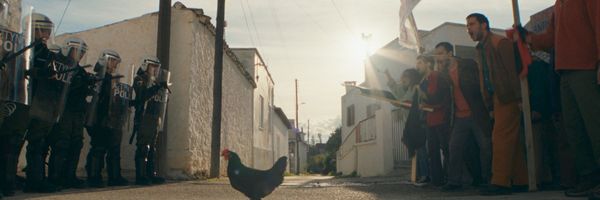GFF26 - Hen Web Banner.jpg